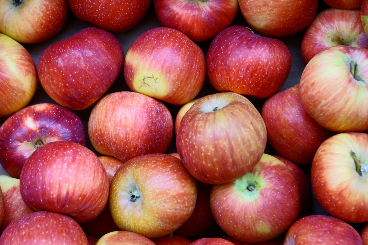 Honeycrisp Apples