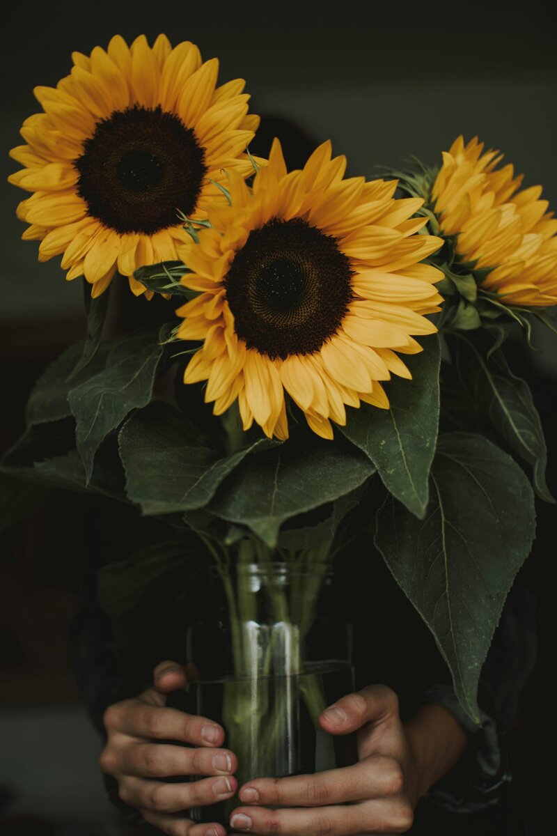 Sunflowers