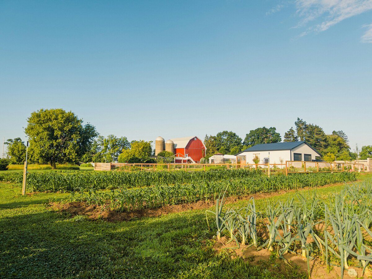 Mountain Valley Farm farm photo