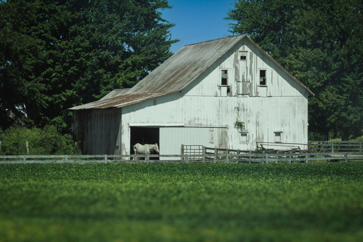 Moon's Cove Farms
